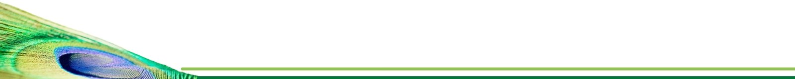 Greenlight Communications